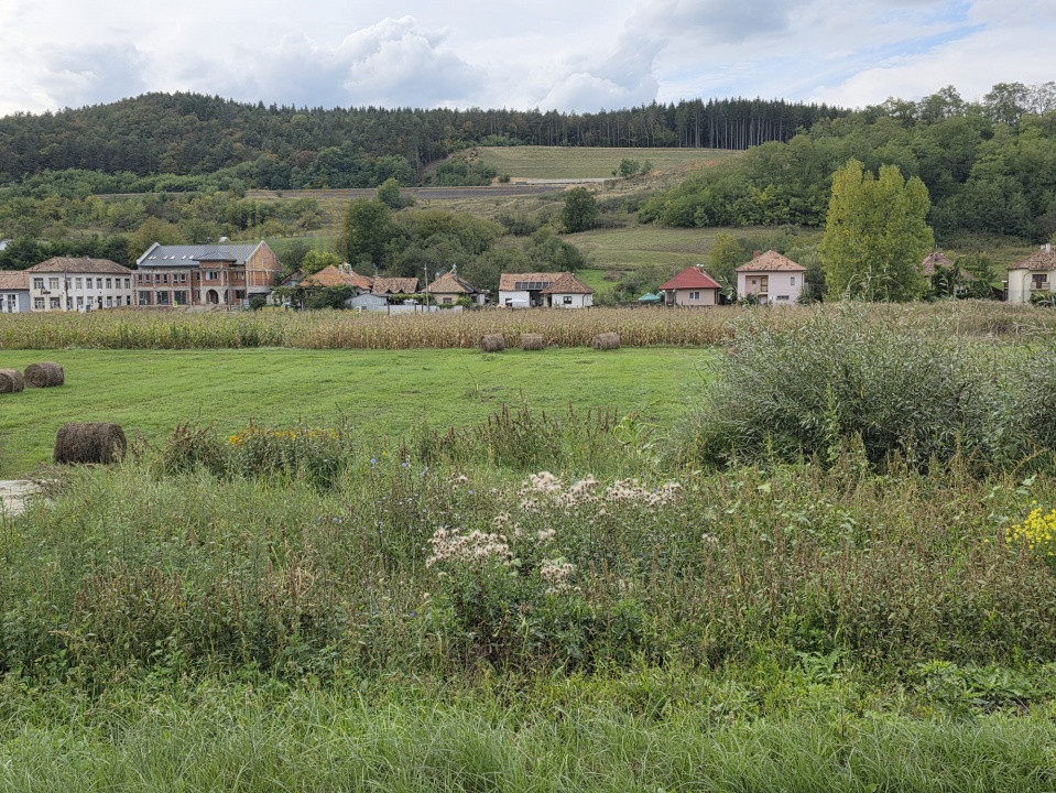 Teren de vanzare intravilan, 1500mp, Sanpaul!