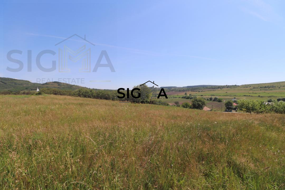 Teren intravilan de vanzare – 3.800 mp – Babutiu, jud. Cluj
