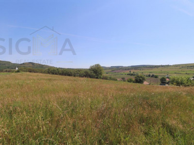 Teren intravilan de vanzare – 3.800 mp – Babutiu, jud. Cluj