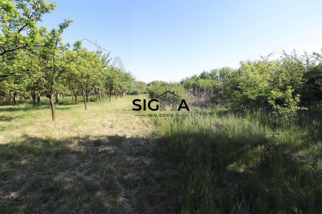 Casa cu teren generos de 2.781 mp in Tinca, Bihor