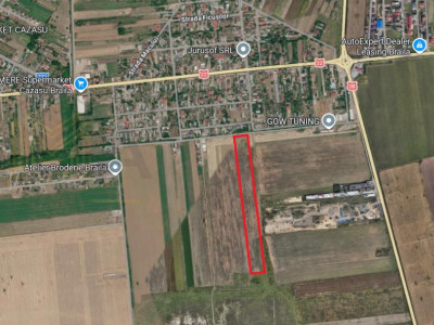 Teren intravilan 28.200 mp – Cazasu, zona Str. Cactusilor – comision 0%
